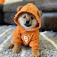 DOG logo